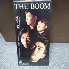 THE BOOM/帰ろうかな