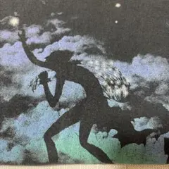 【3XL〜4XL】Threadlessアートグラフィック “Sky Thief“