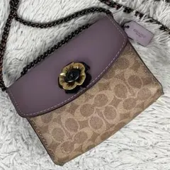 美品 コーチ PVC 2WAY ショルダーバッグ ティーローズ シグネチャー