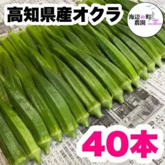 【高知県産オクラ】A品＆B品　40本　新鮮おくら産地直送　野菜　Mppのサムネイル