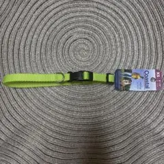 Item thumbnail for item ddd6571b-db3d-4807-818e-6ce62ca2243f