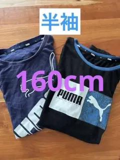 子ども服半袖2枚　160㎝