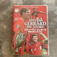 Item thumbnail for item a74efe22-1ef7-4cd6-bdc0-5fbc19595b5d