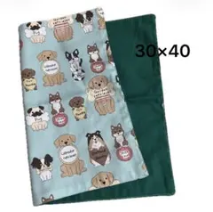 Item thumbnail for item 249eebec-3587-4efa-bc92-82c60af1ae46