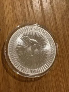 2021年 ブリタニア銀貨 1oz .999 Fine Silver Coin - メルカリ