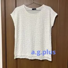 【美品】a.g.plus カットソー　 花模様レースのサムネイル