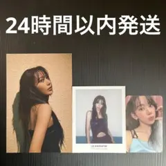 サクラ シーグリ 2024