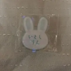 糸師凛 ブルーロック おなまえアクリルバッジ casual bunny