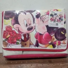 Disney　ディズニー　ミッキー＆ミニー　セレブリティフォト バスケット