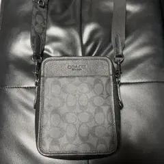 Item thumbnail for item 16d93724-c0a8-4585-accb-9e2c58e1f7cc