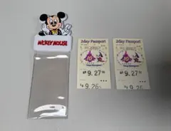 希少 東京ディズニーランド10周年 2dayパスポート チケットホルダー付