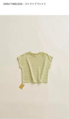 ZARA TIMELESZ ストライプ Tシャツ