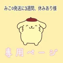 みこ‪︎︎︎︎☺︎発送に3週間、休みあり様専用ページ