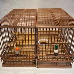 Item thumbnail for item a981d054-2b79-4fd9-97b8-f9c35aa5e44a