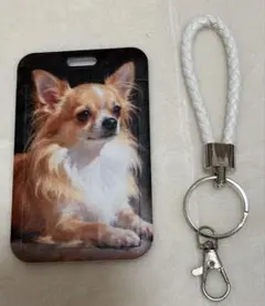 Item thumbnail for item 883bfaf1-2d77-4fec-b03e-b9f5ad172e5e