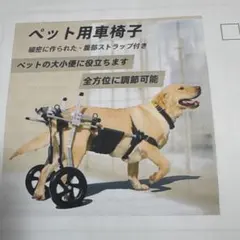 Item thumbnail for item 857f913d-e360-434b-baee-581f79457b9d