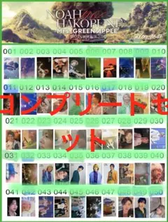‼️お買い得‼️Mrs. GREEN APPLE フォトカ　ノーマルレアコンプセット 2025年最新】Mrs. GREEN APPLE フォトカード コンプの人気