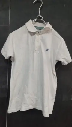 ポロシャツ 白