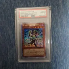 遊戯王 幻惑の見習い魔術師 クオシク psa10 遊戯王 幻惑の見習い魔術師 25th シークレット trade-lab