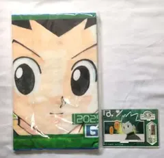 HUNTER×HUNTER フルカラーフェイスタオル 名場面ジオラマ クラピカ
