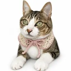 猫 犬　スタイ　つけ襟　おめかし　編み物 ハンドメイド