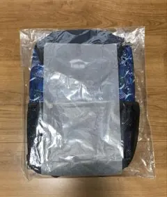 イトマン　リュック