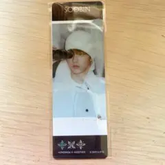 TXT クリアしおり ファミマ スビン　..