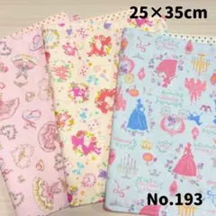 No.193 ランチョンマット　25×35 ハンドメイド　女の子　幼稚園　保育園