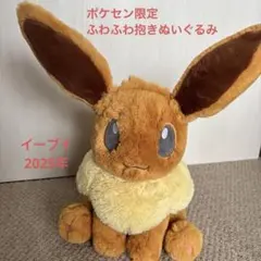 2019年ポケモンセンター限定 ふわふわ抱きぬいぐるみ ピカチュウ