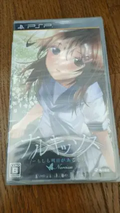 ゲーム　ナルキッソス
