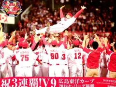 広島東洋カープ 2018・2017年優勝記念ポスター　2018 新聞広告　表裏のサムネイル