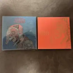 米津玄師 STRAY SHEEP CD & アートブック（未開封）