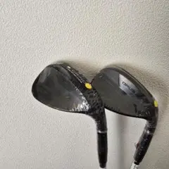 Item thumbnail for item a8d75b51-bd97-43bd-9219-84792d5f4651