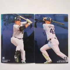 2001〜2019カルビープロ野球カード　ヤクルトスワローズ　14枚