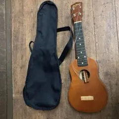 Item thumbnail for item 66697874-ae18-43d7-b19e-fd41f7214716