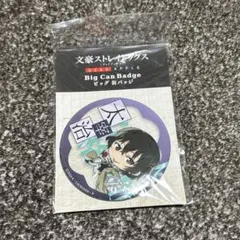 Item thumbnail for item 910e2e67-0f3f-4f8c-8932-759b88a19b69