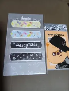 Stray Kids 静岡 エコパ　アプグレグッズ