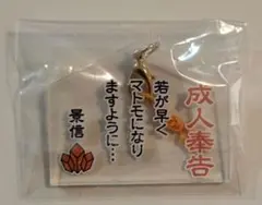 2025年最新】天落記 絵馬の人気アイテム - メルカリ