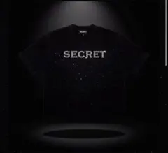 SECRET ラインストーン Tシャツ ブラック S 入手困難 SECRET ラインストーン Tシャツ ブラック S 入手困難 - メルカリ