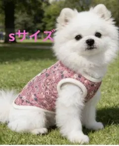 Item thumbnail for item 2a071f64-6fee-48a0-9afc-ac781083a56a