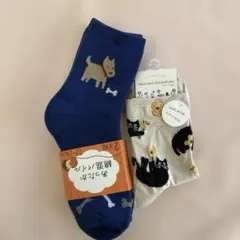 ＋vanillaの犬と骨のデザインとネコのソックス 3足セット