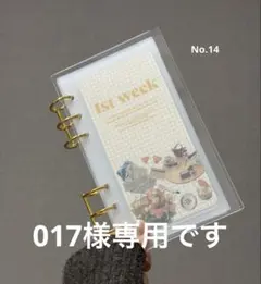 Item thumbnail for item 5cd445aa-b342-4a62-931c-fcd71d33420c