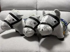 サラブレッドコレクション ふわふわBIGぬいぐるみ ゴールドシップ 3点セット