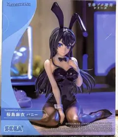 青ブタ野郎シリーズ Yumemirize 桜島麻衣 バニー - メルカリ