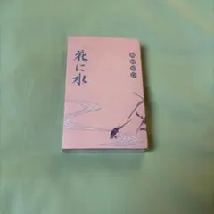 希少 レア スピッツ 隼みやげ スピッツ商店 グッズ パンフレット 2001