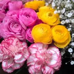 ふ〜じさん様専用♪