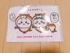 ちいかわ水族館