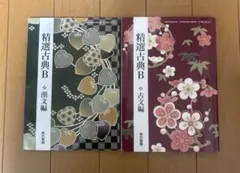 精選古典B 漢文編・古文編 セット