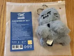 TWS トゥニャンイ キーリング キーホルダー - メルカリ