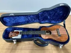 Item thumbnail for item 12c65caf-2071-47b5-818c-9d29410cd6a9